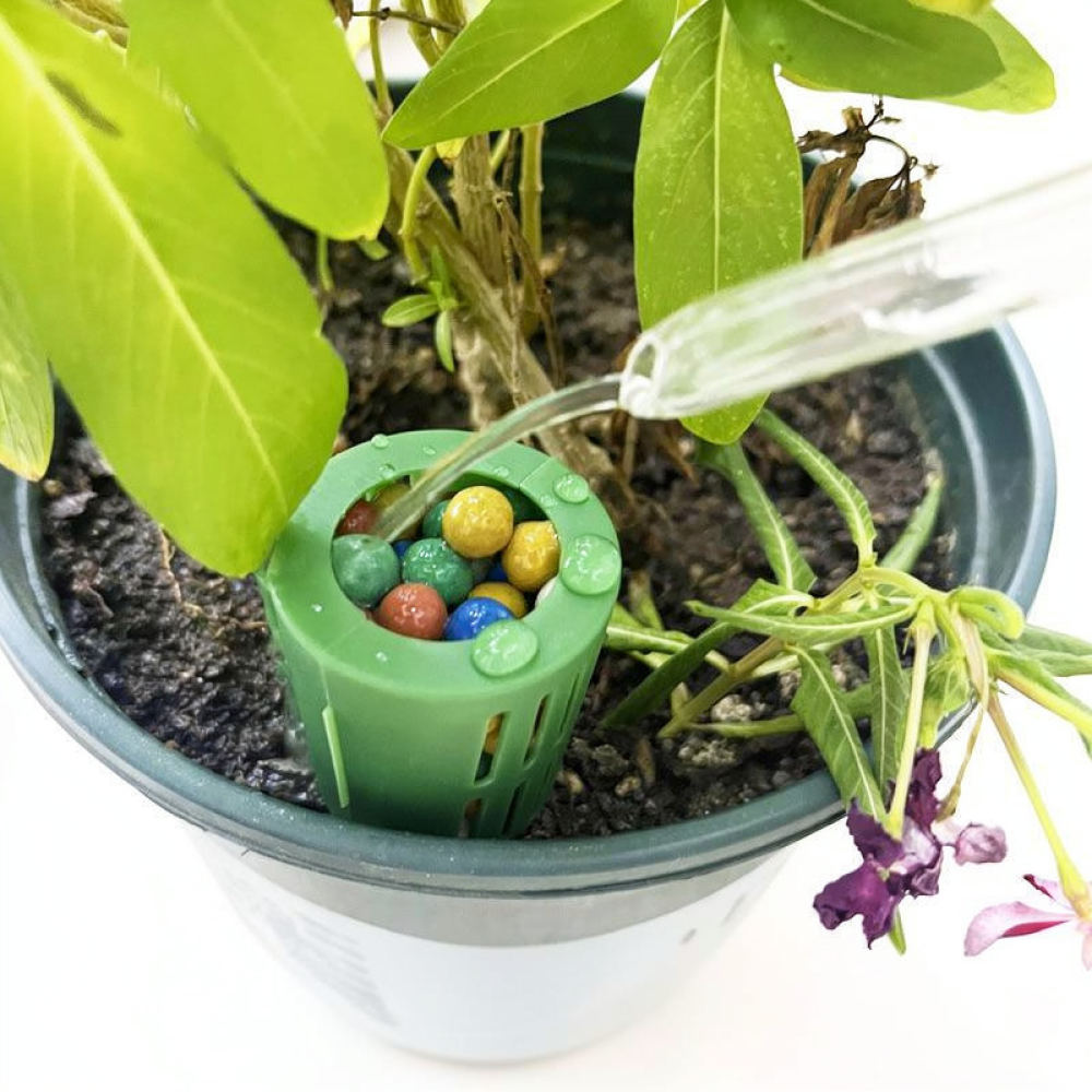 Düngerbox für Bonsai-Pflanzen, – Gardening Tools Essential Bewertung und Preis