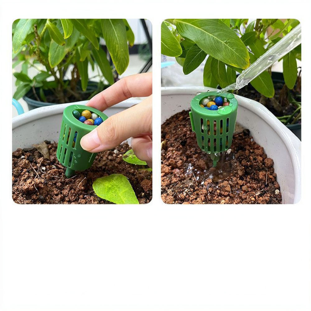 Düngerbox für Bonsai-Pflanzen, – Gardening Tools Essential Bewertung und Preis