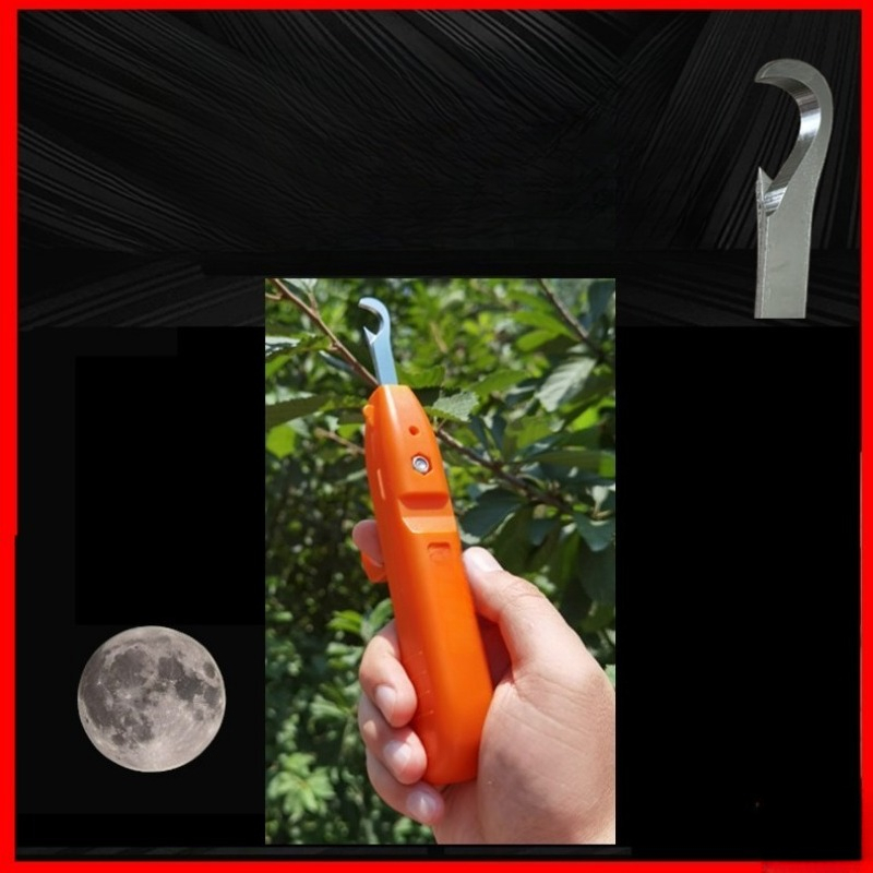 Obstpflückerscheren aus Edelst – Gardening Tools Vegetables Bewertung und Preis