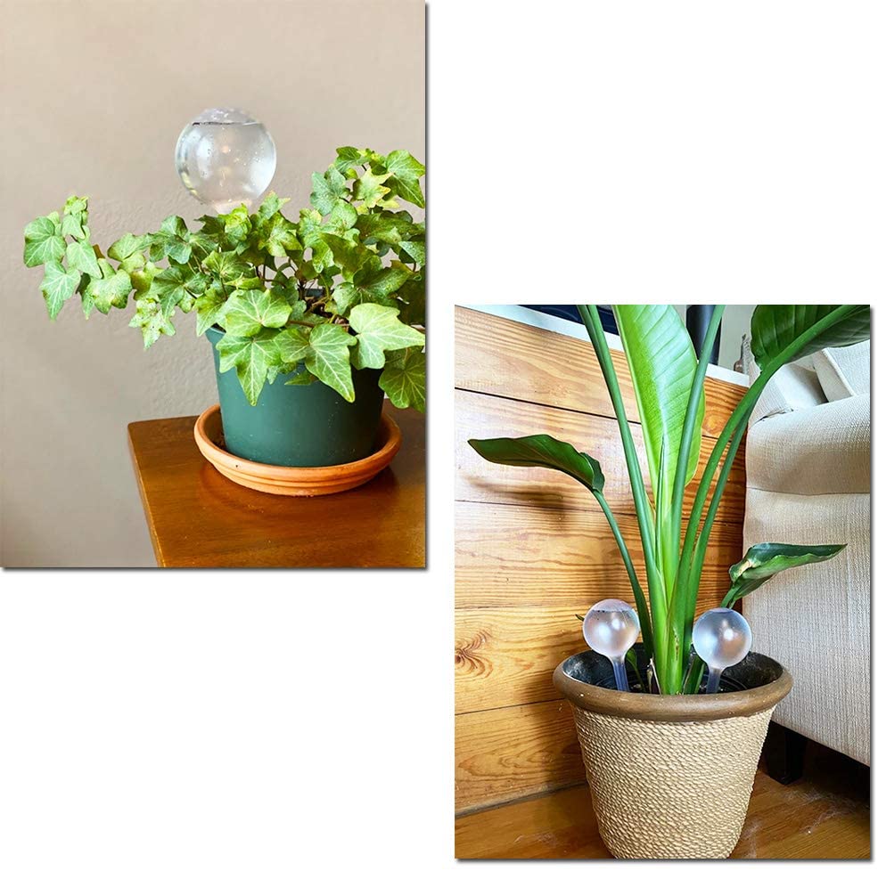 Automatische Pflanzen wasserzu – Automatic Plant Waterer Bewertung und Preis