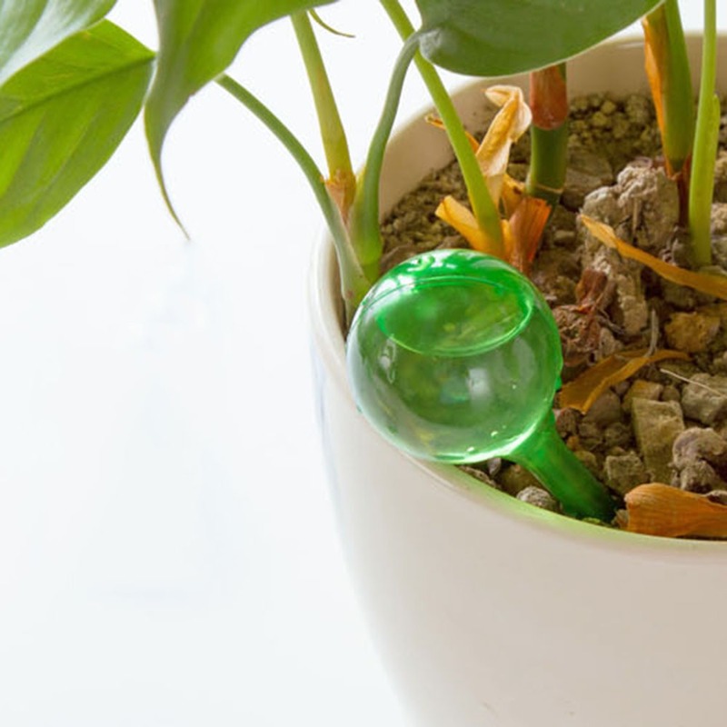 Automatische Pflanzen wasserzu – Automatic Plant Waterer Bewertung und Preis