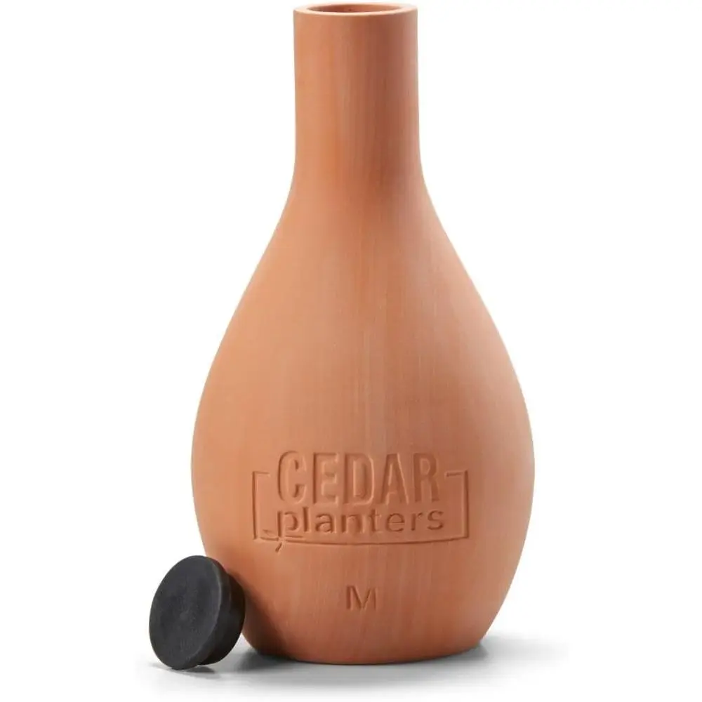 Selbstbewässernder Keramik-Blu – Self-Watering Planter Bewertung und Preis