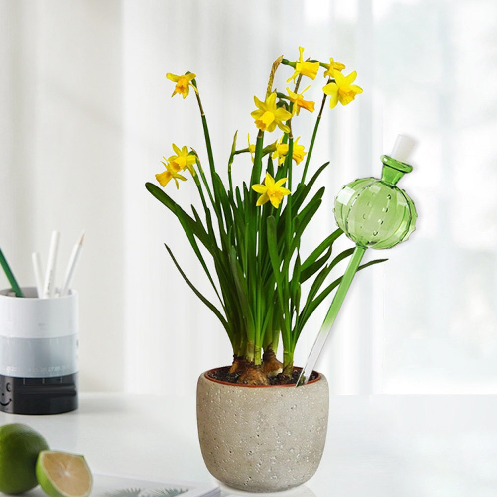 Automatischer Selbstbewässerun – Automatic Plant Waterer Bewertung und Preis