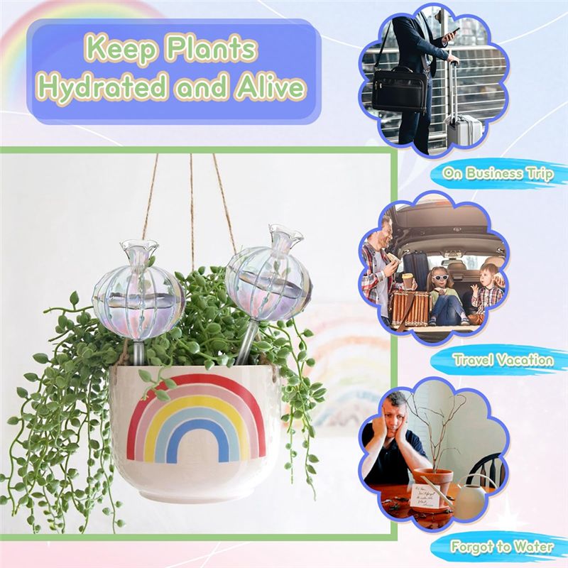 AA94 – Pflanzenbewässerungs-Gl – Self-Watering Planter Bewertung und Preis